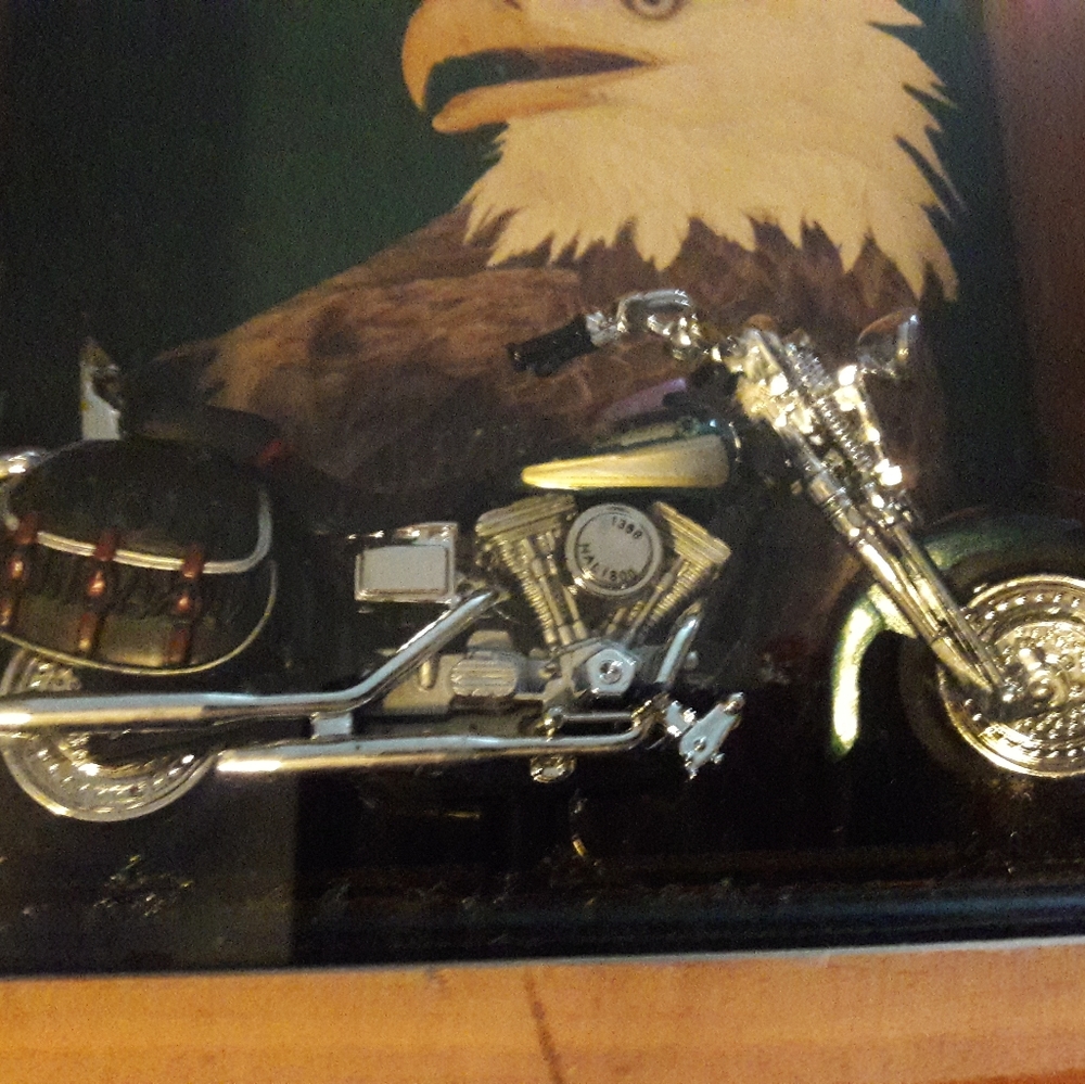 Motorcycle Shop Display - Picture 10 of 11